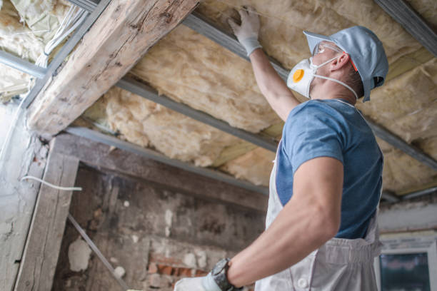 Best Local Insulation Services  in Honeyville, UT