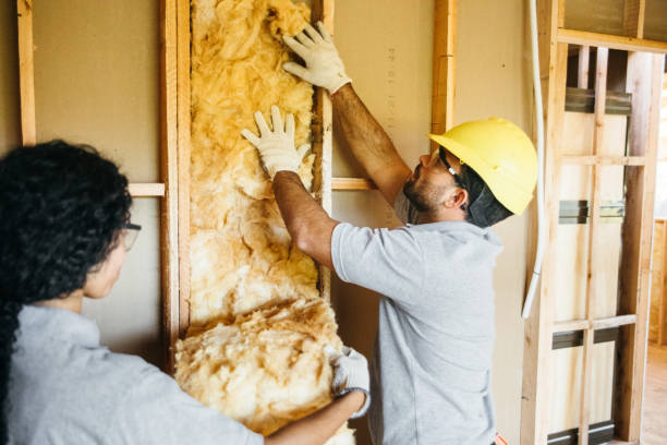 Best Crawl Space Insulation  in Honeyville, UT